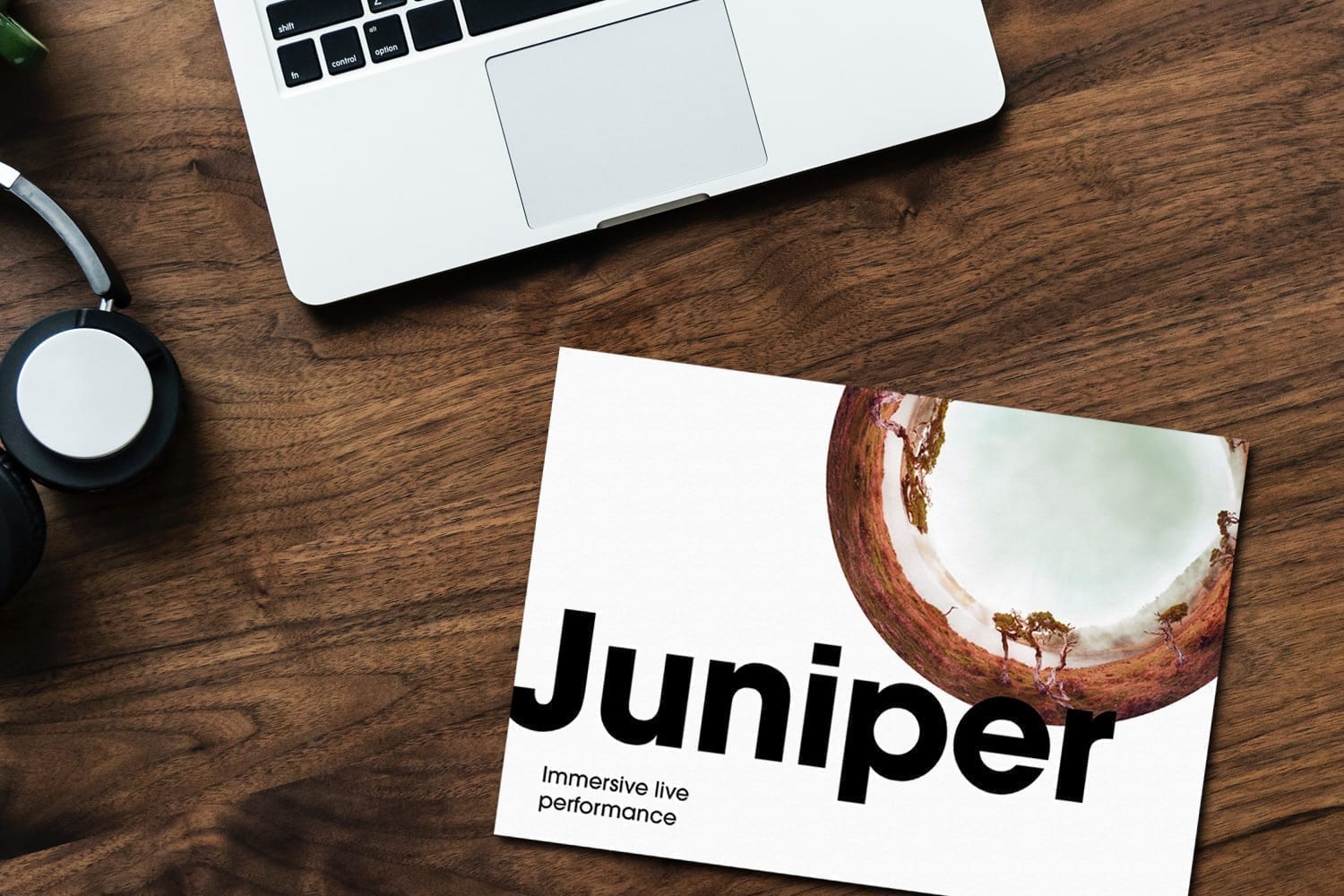 Juniper_1